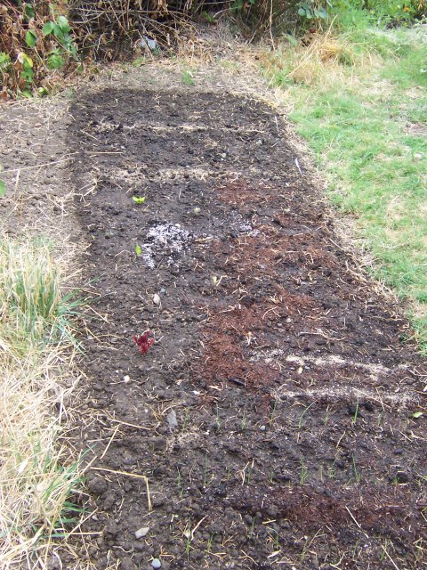 Just planted.
