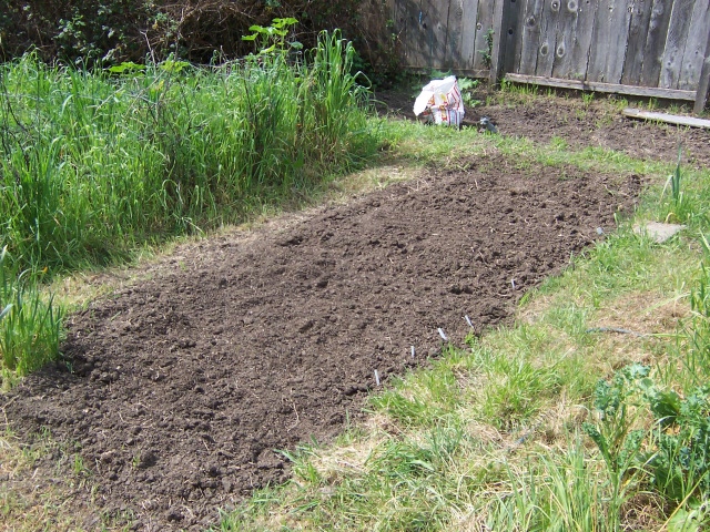Potato Bed