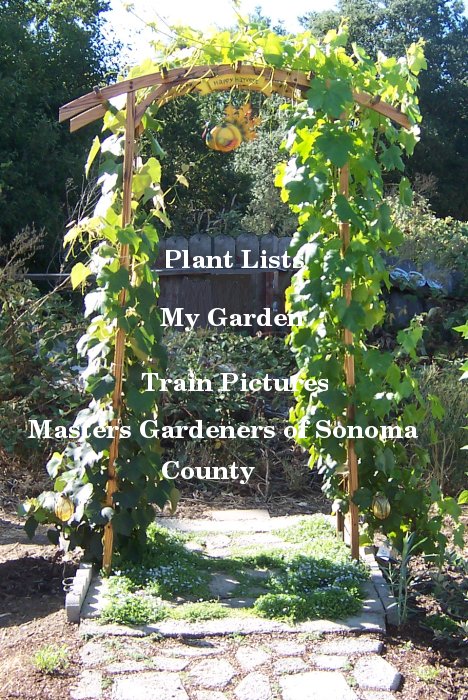 Welcome To My Garden